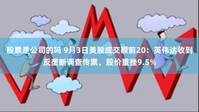 股票是公司的吗 9月3日美股成交额前20：英伟达收到反垄断调查传票，股价重挫9.5%