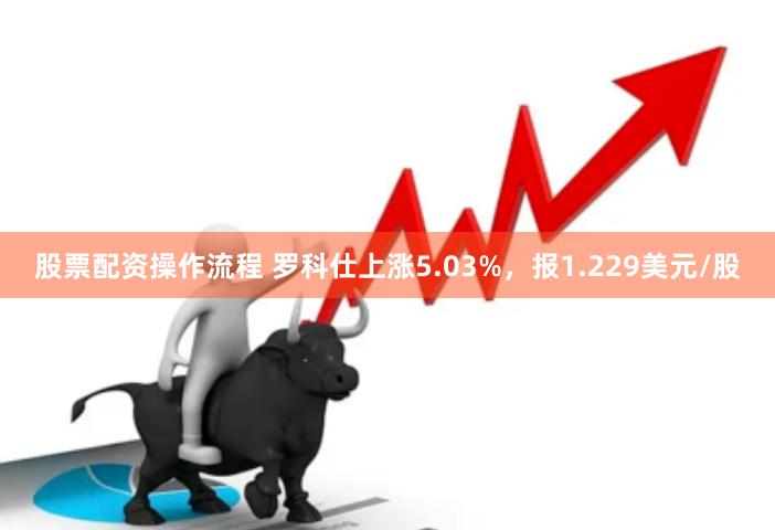 股票配资操作流程 罗科仕上涨5.03%，报1.229美元/股